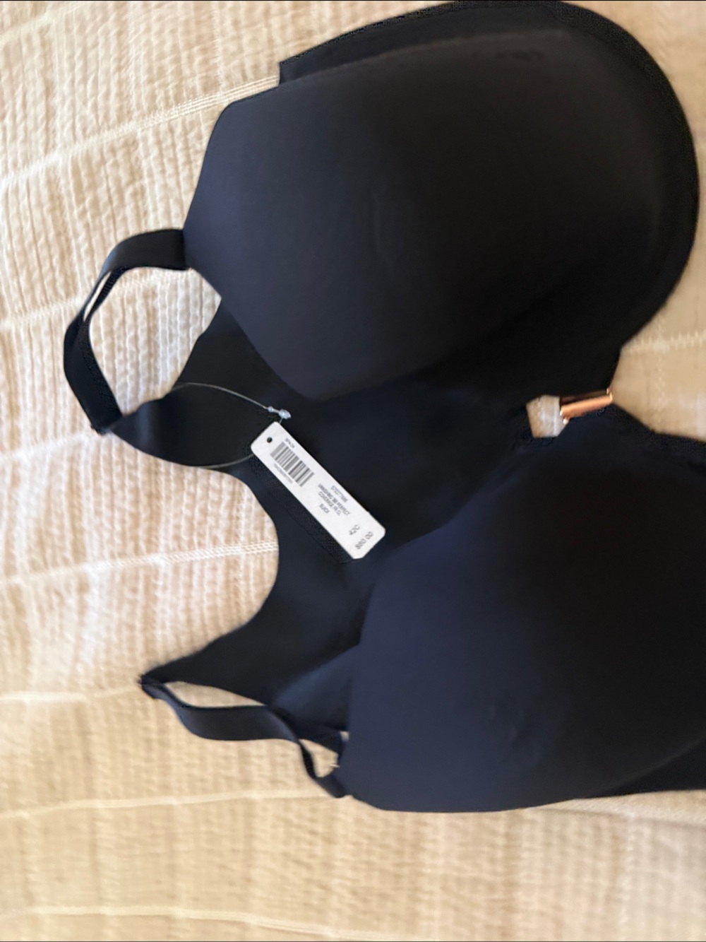 Smooth Black T-Shirt Bra with Light Padding - Women's Intimates